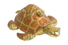 Sea Turtles Decorative | Isolated