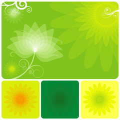 Aufkleber - Abstract Green floral background of summer.