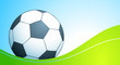 © Forewer - Football on a green grass