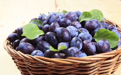 Canvas Print - Damson plums