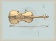 Violin drawing -music instrument
