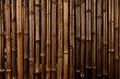 Bamboo Dark Background