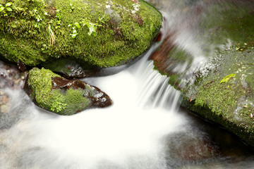 Wall Mural - Stream