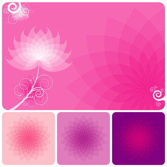 Poster - Abstract Pink floral background of spring.