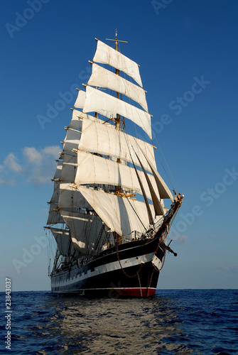 Naklejka dekoracyjna The sailing ship in the sea on waves