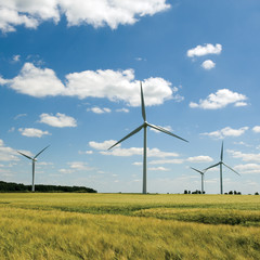 Windfarm in summer