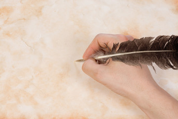 Wall Mural - hand with feather at paper