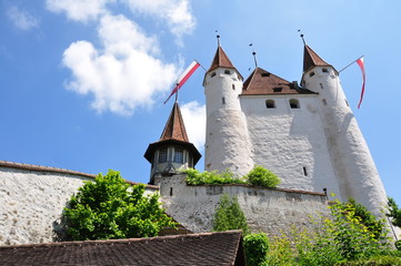 Canvas Print - château de thoune