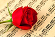 Musical notes and red rose