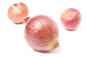 Wall Mural - shallot