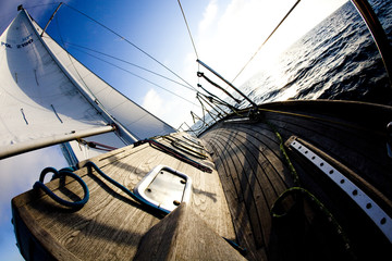 Wall Mural - Sun behind white sails