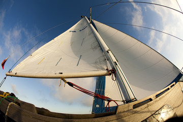 Wall Mural - Sailing in Good Wind