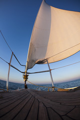 Wall Mural - Sea, sun and sail