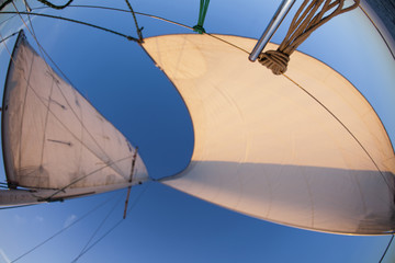 Wall Mural - Sailing in Good Wind