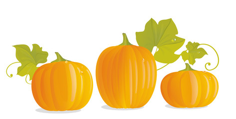 Pumpkins