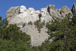 Mount Rushmore with green trees in foreground