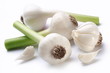 young garlic