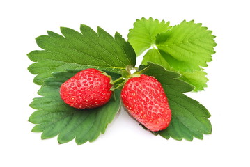 Wall Mural - Fresh strawberry fruits with green leaves