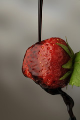 Wall Mural - Fragola con aceto balsamico