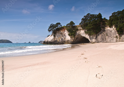 Board z aluminiowym obramowaniem Katedra cove na Coromandel Penninsula, Nowa Zelandia.