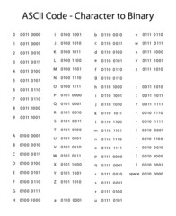binary code translation