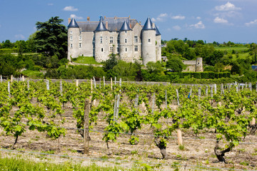 Fototapete - Luynes Castle with vineyard, Indre-et-Loire, Centre, France