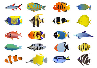 Set of tropical fishes, vector illustration