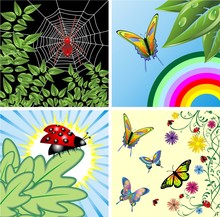 Natura E Insetti Sfondi-Nature And Insects Background-2