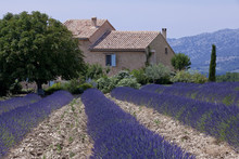 Maison Provençale