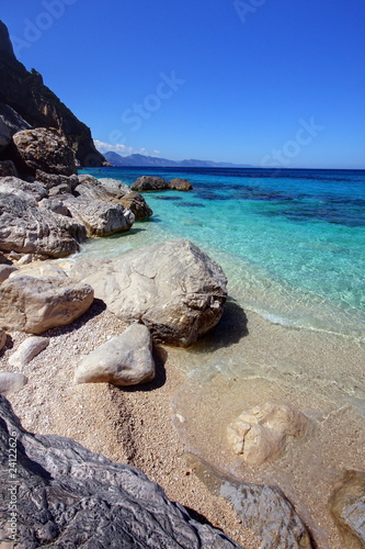 Naklejka na szafę cala goloritze