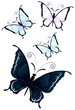 Schmetterlinge in Pastellfarben (mit Clippfad)