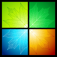 Wall Mural - maple leaf corners