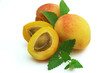 THE APRICOT AND MINT