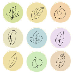 Wall Mural - floral design elements