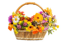 Beautiful Flowers In A Basket  Isolated On White
