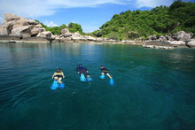 Diving At Koh Tao Koh Nagyuan Thailand