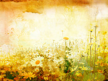Beautiful Grunge Background With Daisies