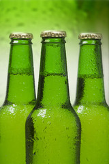 Beer bottles isolated on green background closeup