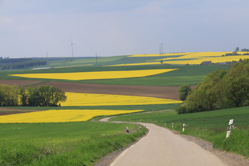 Sticker - Carretera en campos de Alemania