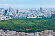 明治神宮と代々木体育館と渋谷周辺への眺望