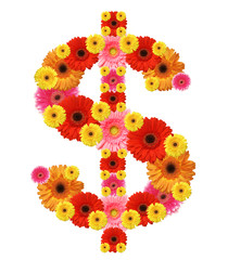 Wall Mural - dollar sign