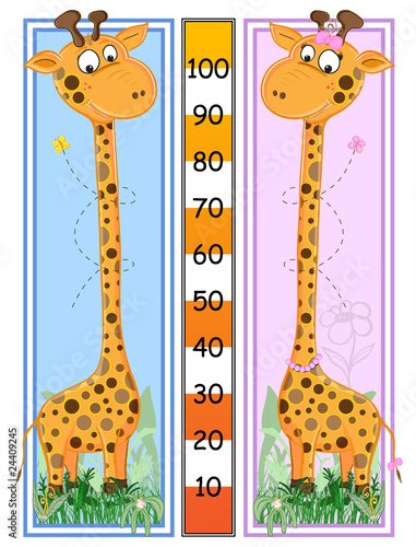 Naklejka na meble Giraffes scale