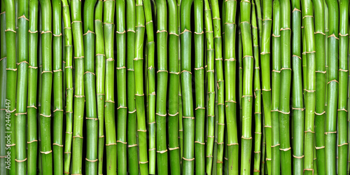 Naklejka na szybę bamboo