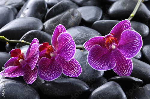 Naklejka na kafelki still life with pebble and orchid