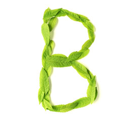 Wall Mural - leaf letters