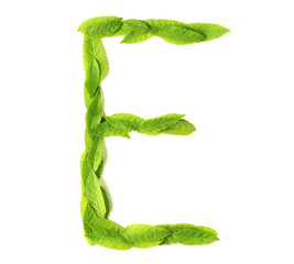 Wall Mural - leaf letters