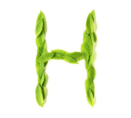 Wall Mural - leaf letters