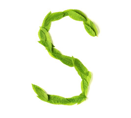 Wall Mural - leaf letters