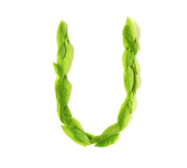 Wall Mural - leaf letters