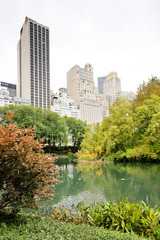 Wall Mural - The Pond, Central Park, New York City, USA